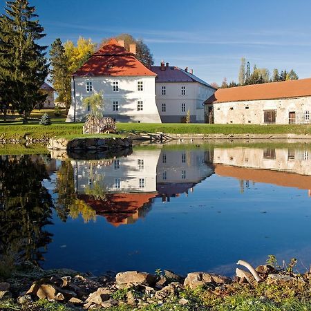 Ferienwohnung Jizdarna Zamek Skalice Ckyne Exterior foto