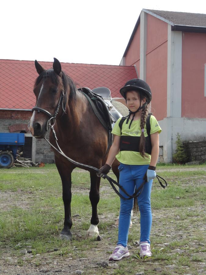 Ferienwohnung Jizdarna Zamek Skalice Ckyne Exterior foto