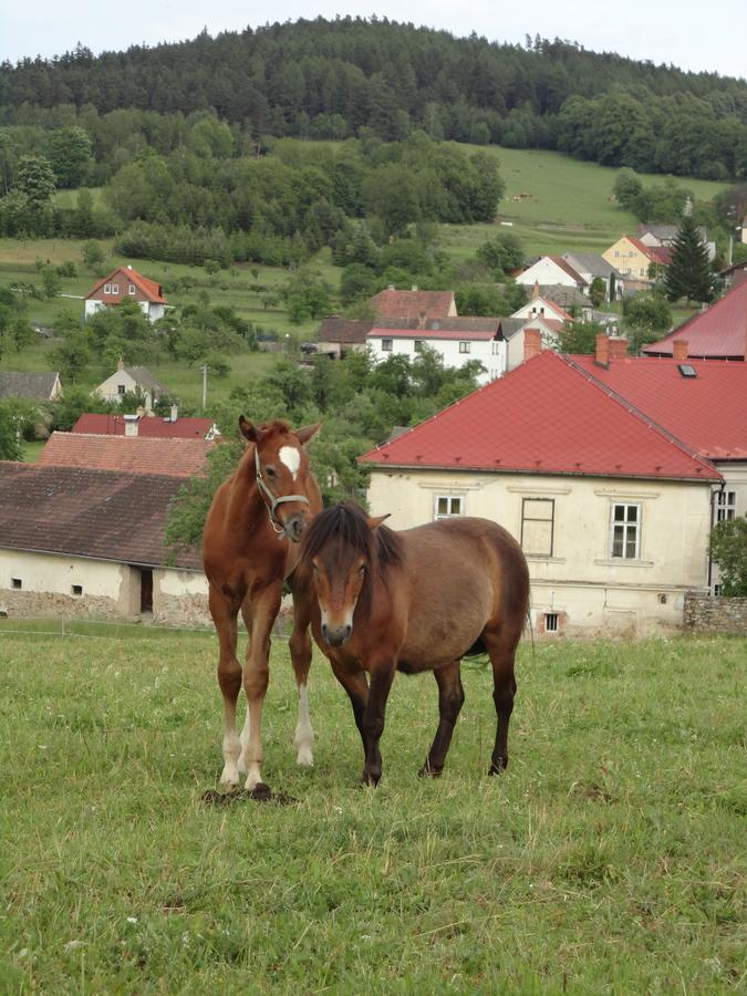 Ferienwohnung Jizdarna Zamek Skalice Ckyne Exterior foto